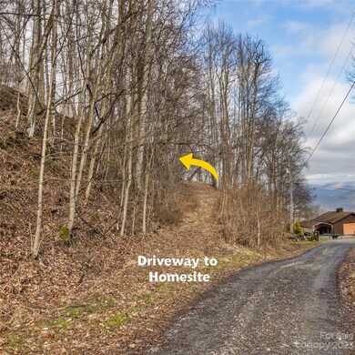 3 Michael Dr unit 3, Waynesville, NC 28785 - photo 3