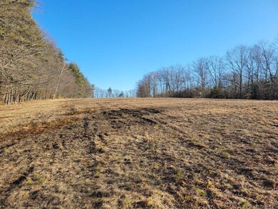 Lot 3 Patch Rd, Hopkinton, NH 03229 - photo 6