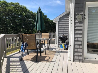IMG_0245