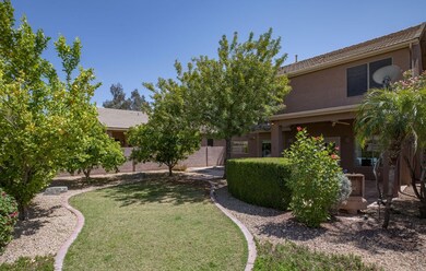 Grassy Yard with room for a pool