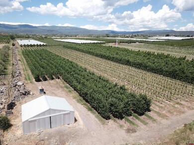 Lot 2 NW Cedar Ave, Cedaredge, CO 81413 - photo 7