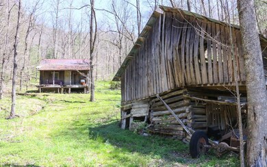 Additional View