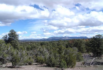 Lot 43 Morningstar Dr, Datil, NM 87821 - photo 2