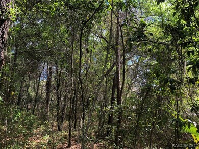 689 E Jenkins Ct, Hernando, FL 34442 - photo 7