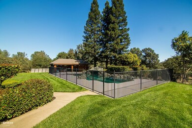 Panorama Vet and Home-34