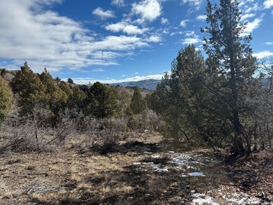 0 Ranch Dr Red Deer Trail unit 25-267270, Duck Creek Village, UT 84762 - photo 5