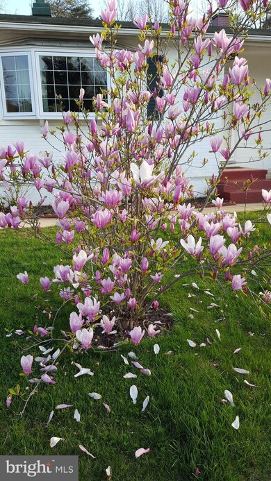 3341 Sudlersville S, Laurel, MD 20724 - photo 5