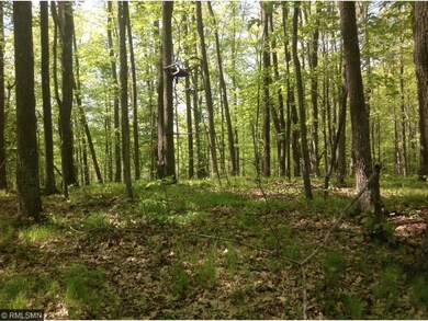 Woods are beautiful with trails, ridges, and a cre