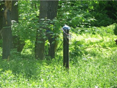 TBD Spruce, Ludlow, VT 05149 - photo 4