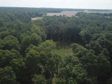 000 Beard Rd, Xenia, IL 62899 - photo 5