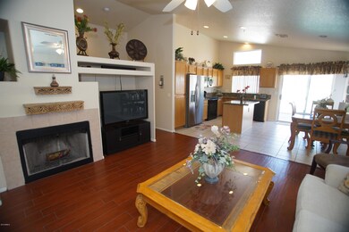 family room fireplace (gas and wood)