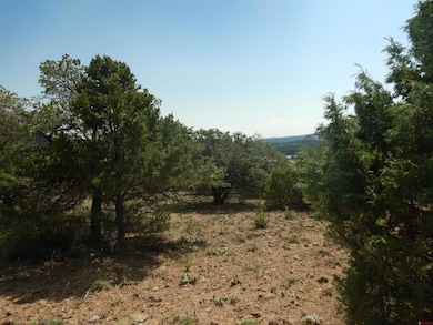 222 La Lomita Cir, South Fork, CO 81154 - photo 5