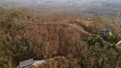 Lot 7 Ada Ridge Rd, Mineral Bluff, GA 30559 - photo 6