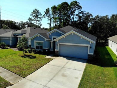 34440 Blue Ash Ct, Wesley Chapel, FL 33545 - photo 3