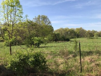 0 W Lot 3 Itaska unit 60088103, Nixa, MO 65714 - photo 6