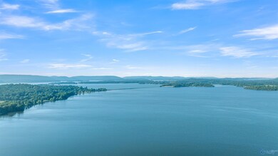 unlisted-address, Langston, AL 35755 - photo 3