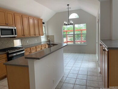 10637 Black Horse, Helotes, TX 78023 - photo 7