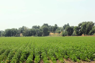 690 & 698 Hale Rd, Weiser, ID 83672 - photo 6