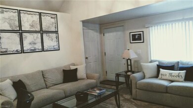 Living Room w/ new Steel front door & NEW carpet
