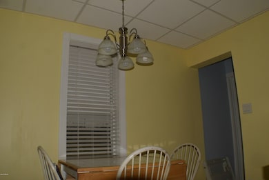 746 Mincemoyer Ln, Watsontown, PA 17777 - photo 4