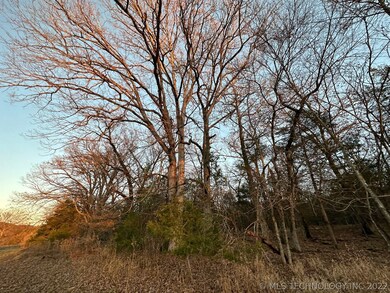 10 Stone Bluff Dr, Tahlequah, OK 74464 - photo 4