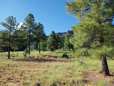 220 W Zane Grey Drive