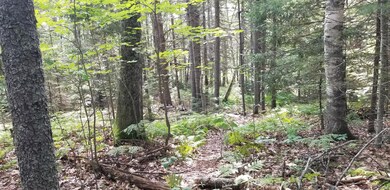 20210729_084728
