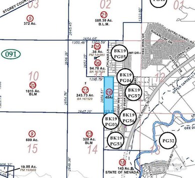 40 Acres Apn 016-091-16, Dayton, NV 89403 - photo 3
