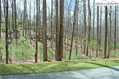 1.36acrs W Laurel Cir, Deep Gap, NC 28618 - photo 3