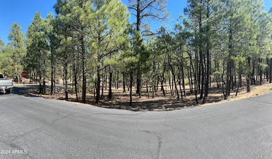 1450 Tia Cir unit 78, Show Low, AZ 85901 - photo 3