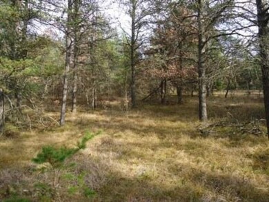 VL Par A W 44th St, Baldwin, MI 49304 - photo 3