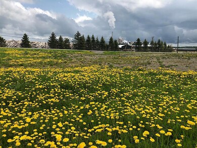 392 Station Rd, Easton, ME 04740 - photo 5