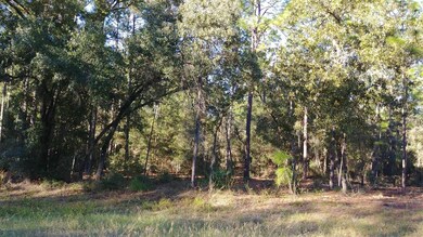 0 SW 93rd Lane Rd unit 516240, Dunnellon, FL 34432 - photo 5