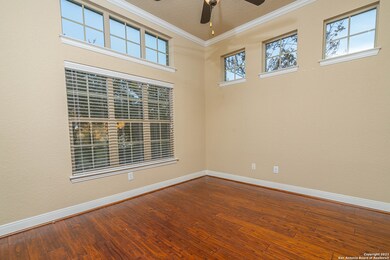 3834 Ox-Eye Daisy, San Antonio, TX 78261 - photo 4