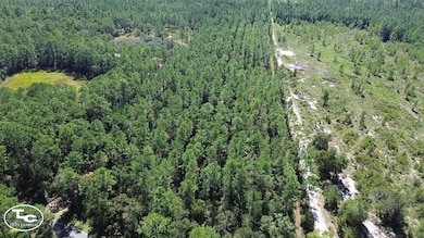 0 NE 212th Street Rd unit 25508545, Fort McCoy, FL 32134 - photo 6