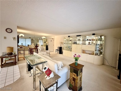 935 Canyon View Rd, Northfield, OH 44067 - photo 7