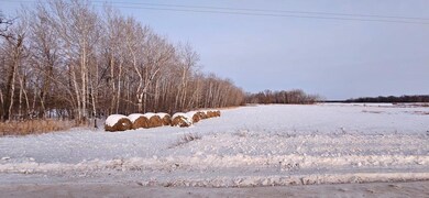 Parcel 4 Cr-68 NE, Carlos, MN 56319 - photo 6