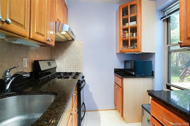 The Nathan Hale unit 1j, Forest Hills, NY 11375 - photo 4