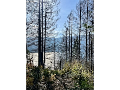 9562 Cook-Underwood Rd, Underwood, WA 98651 - photo 2