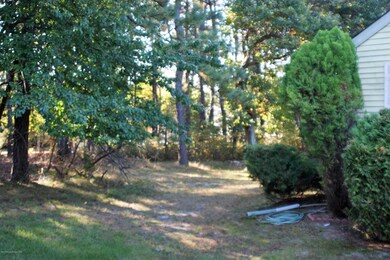 woods