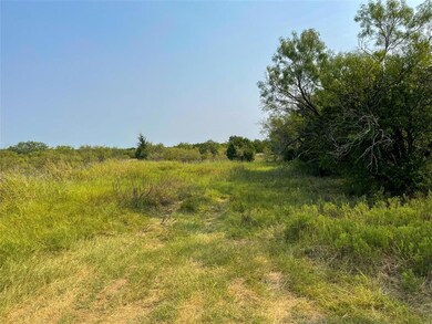 5400 Old Dennis Rd, Weatherford, TX 76087 - photo 6