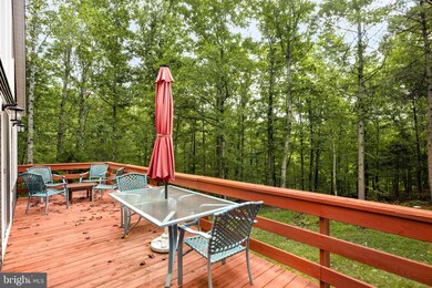143 Bluebird Ct, Basye, VA 22810 - photo 6