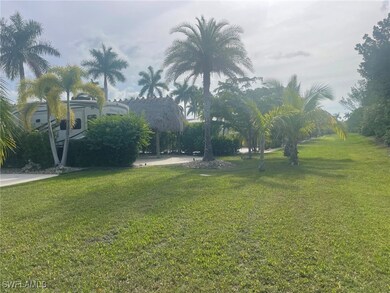 View of grassy yard