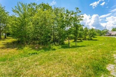 0 Bear Crawl Rd unit 1322617, Jasper, TN 37347 - photo 4