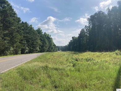 000 State Route 520 unit est 52 acres, Homer, LA 71040 - photo 5