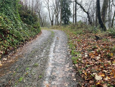 unlisted-address, Orting, WA 98360 - photo 3