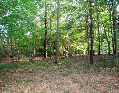 Land/Lot.