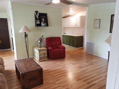 28944 Hubbard St unit LOT 7, Leesburg, FL 34748 - photo 4