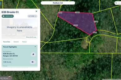 636 Brooks Ct, Ranger, GA 30734 - photo 4