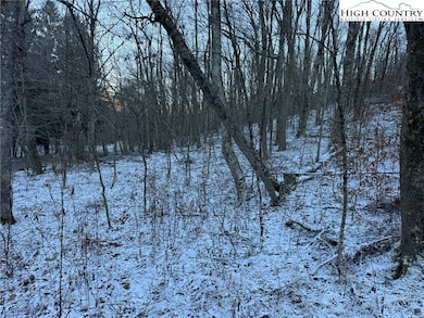 TBD Woodland Springs Rd, Boone, NC 28607 - photo 4